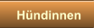 Hündinnen