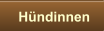 Hündinnen